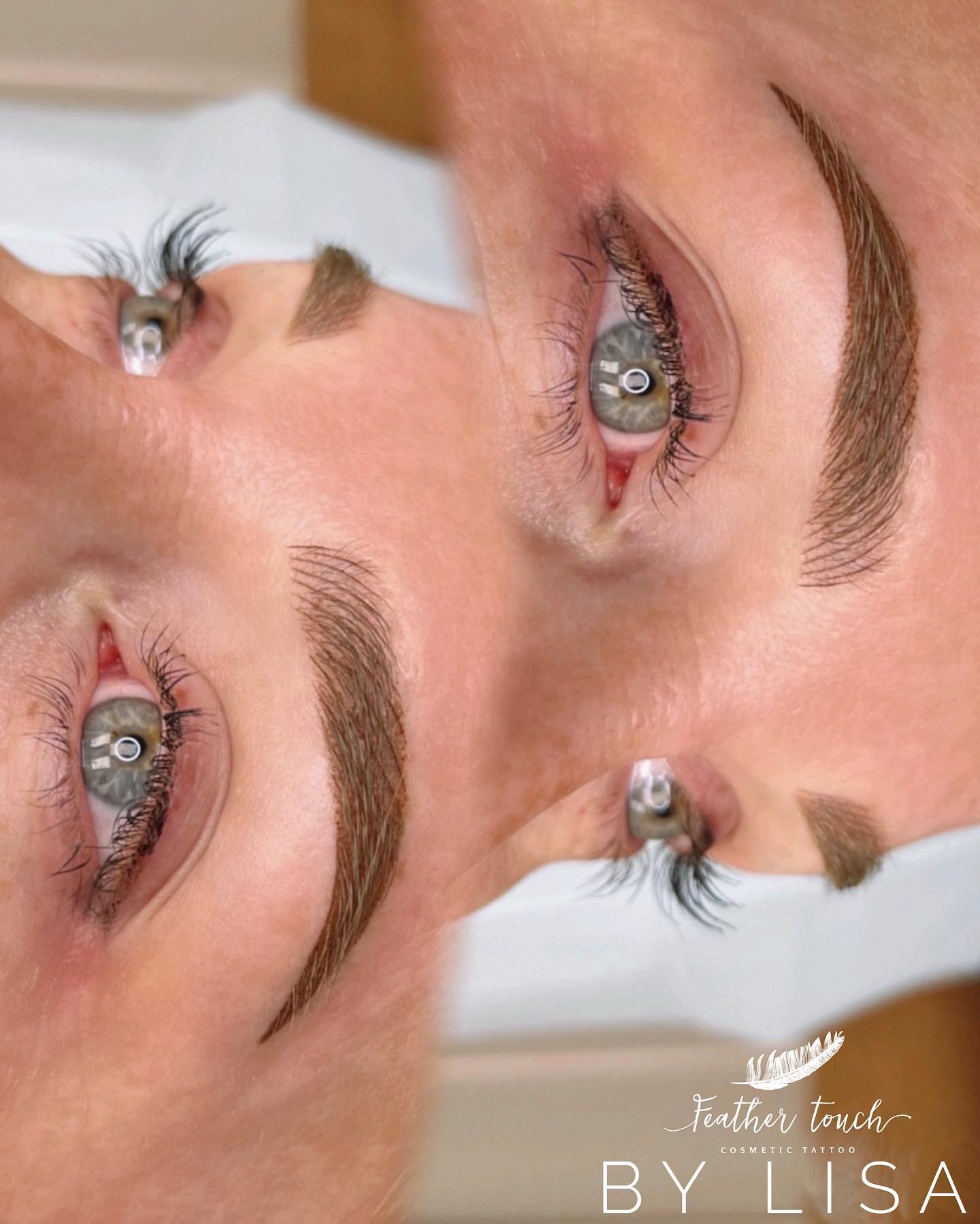 combo brows-2